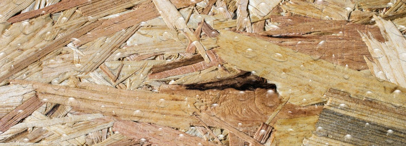osb_wilgoc1