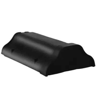 gąsior początkowy.jpg