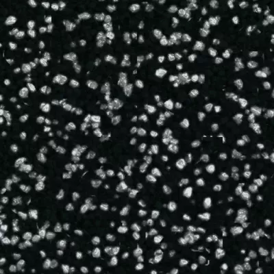 marmurit-tynk-mozaikowy-1,0mm-hematyt.jpg