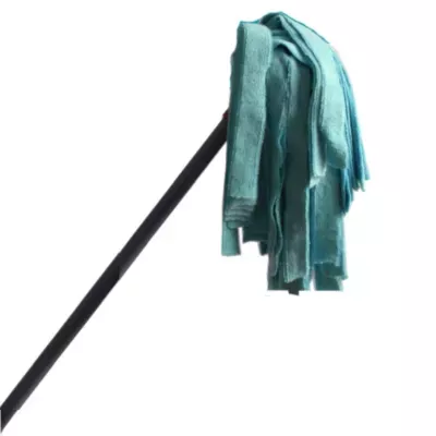 mop paskowy.jpg