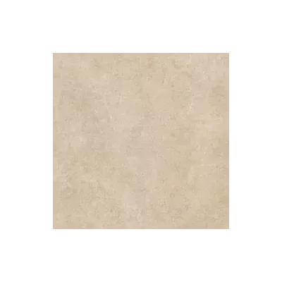 Ragno_Realstone_Argent_R9HX.jpg.0x250_q75_crop.jpg