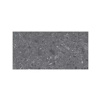 realstone-ceppo-antracite-60x120-9-matt-2032784.jpg