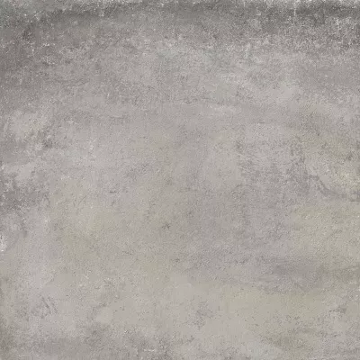 ragno-tuscania-meteora-grigio.jpg