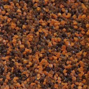 Ceresit CT177 25kg tynk mozaikowy laos 3