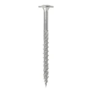 ZAMIENNIK - Wkręt ciesielski 8x120mm TX40 z łbem podkładkowym biały Klimas 